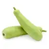 Organic Bottle Gourd